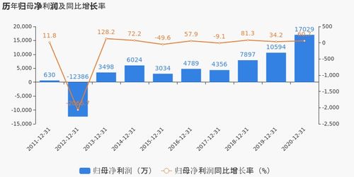 有研新材2020年度業(yè)績顯著提升，歸母凈利潤同比大漲60.74%，投資項目回報成未來焦點